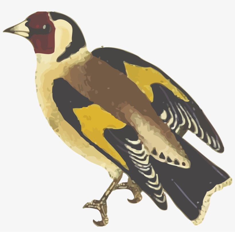 This Free Icons Png Design Of Goldfinch, transparent png