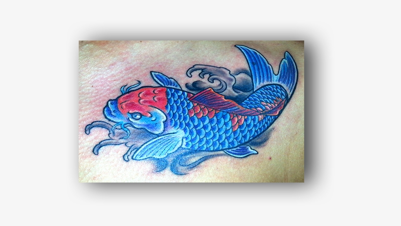 Book A Tattoo Or Piercing Appointment Today - Goldfish, transparent png