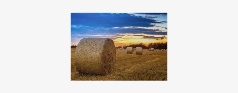 Hay, transparent png