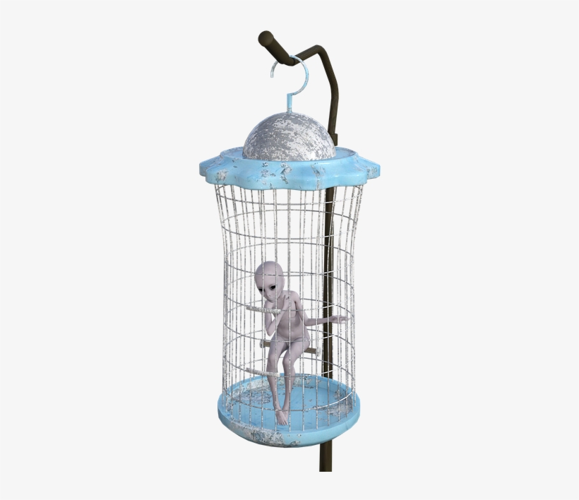 Alien, Cage, Trapped, Solitude, Punishment, Prisoner - Png Transparente Cage Prison, transparent png