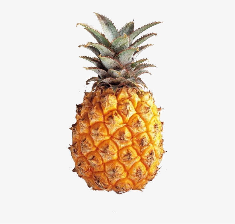 Pineapple Tumblr Theme Download Transparent Pineapple - Pineapple Transparents, transparent png
