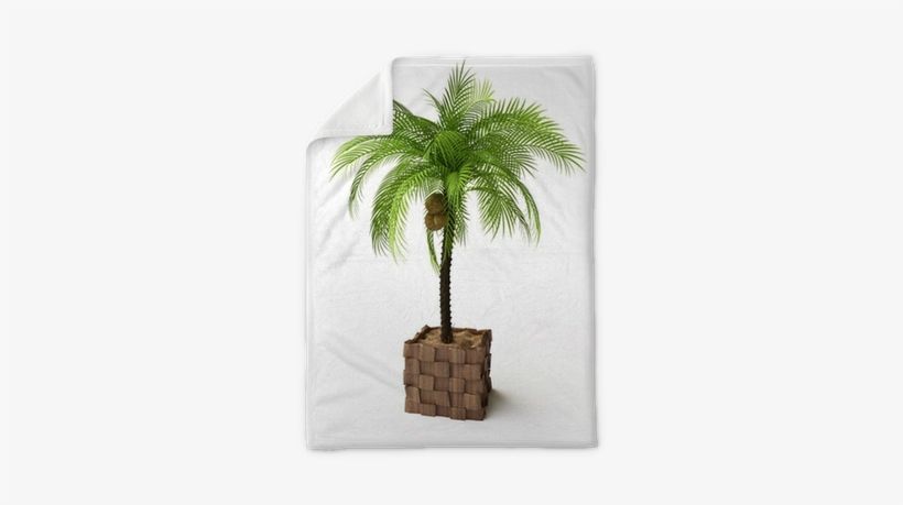 Palm Trees, transparent png