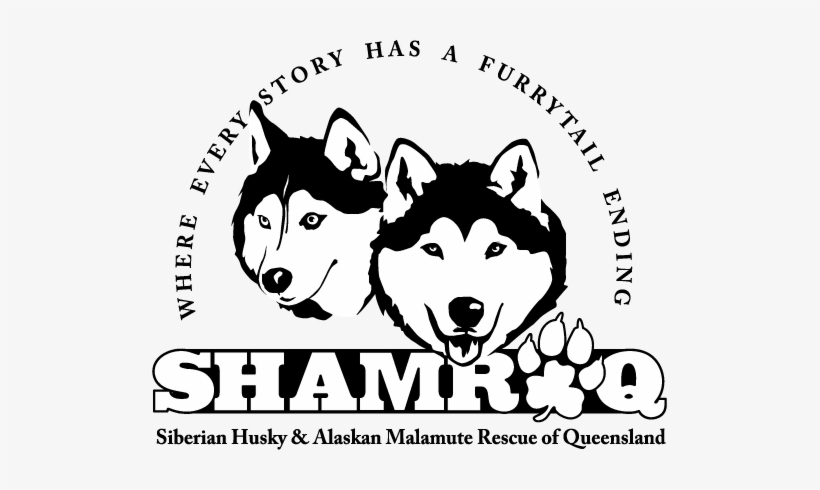 Logo, transparent png