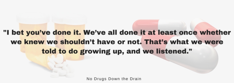 Don't You Dare Flush That Toilet - Earthlyindigoprints Kale Yeah Shirt, Kale Shirt, Vegan, transparent png