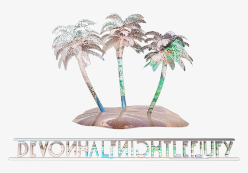 3d Palm Tree - Palm Trees, transparent png