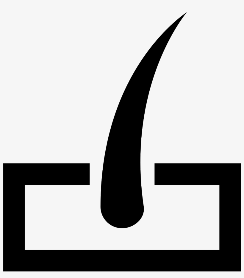 The Icon Is A Simplified Depiction Of A Hair Follicle - Skin, transparent png