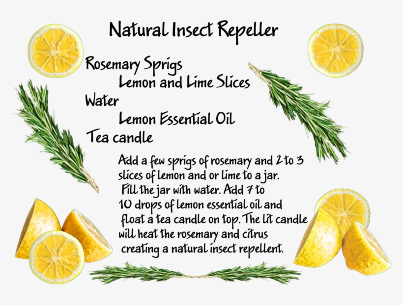 Have A Project For Me - Bioaroma Olive Oil Soap With Rosemary And Bay Leaves., transparent png