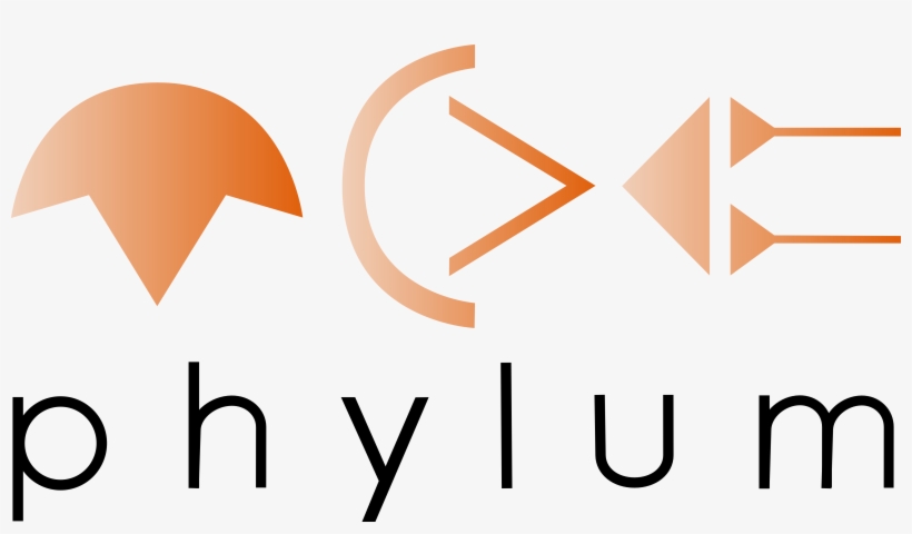 Phylum, transparent png