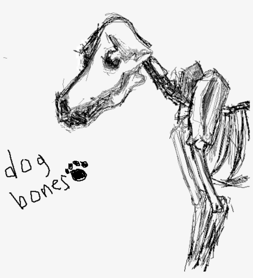 Dog Bones - Dog, transparent png