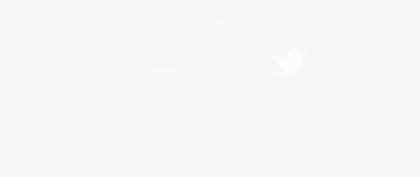 Latest Tweet - Ivory, transparent png