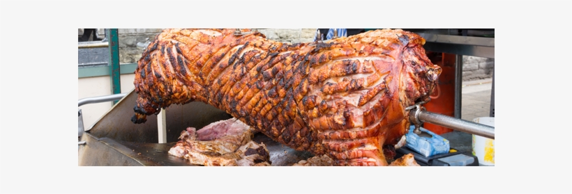 Upcoming Events - Domestic Pig, transparent png