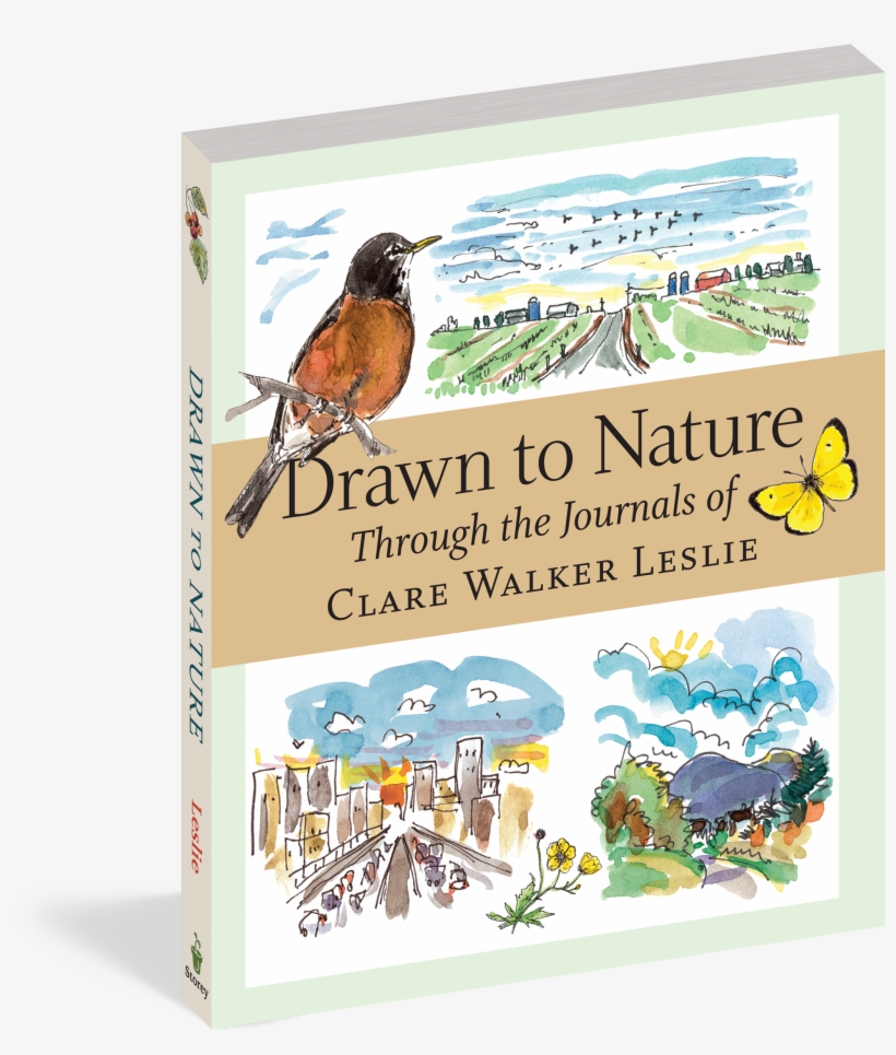 Cover - Drawn To Nature: Through The Journals Of Clare Walker, transparent png