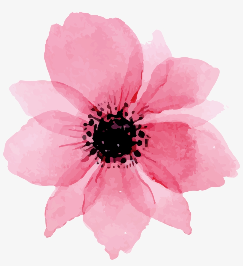 To Download Click The Following - Watercolor Floral Elements Png, transparent png