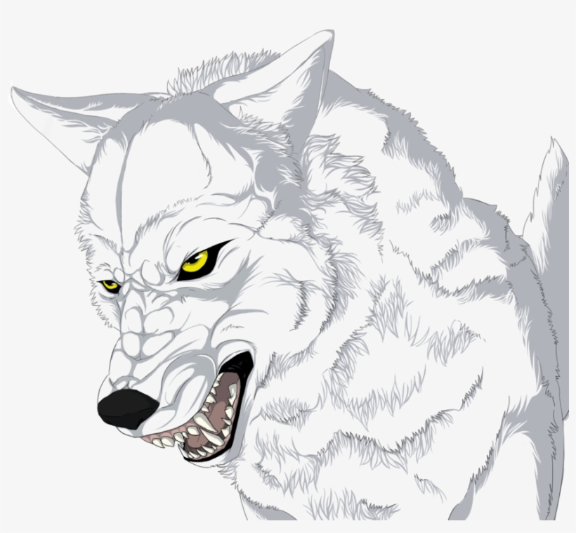 Drawing Pictures Of Wolves At Getdrawings - Wolf Drawings, transparent png