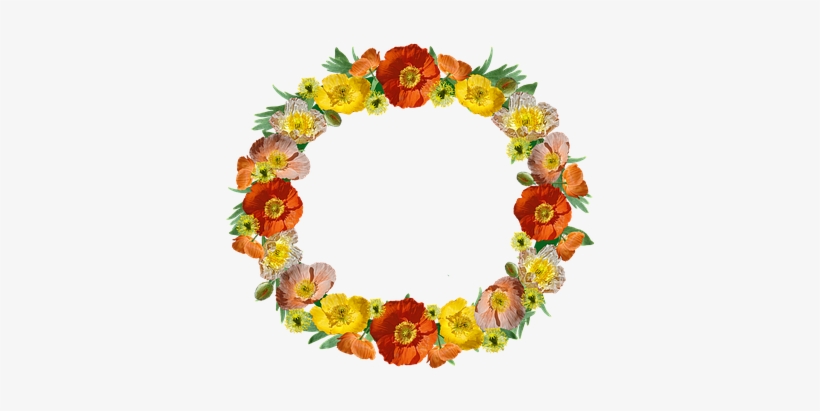 Wreath, Border, Poppies, Floral, Frame - Papaver Somniferum, transparent png