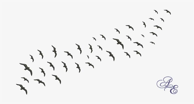 Flock Of Birds Silhouette Png Clip Art Black And White - Flock Of Birds Png, transparent png