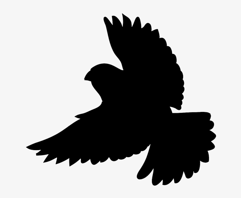 Silhouette Of Flying Bird - Bird Silhouette, transparent png