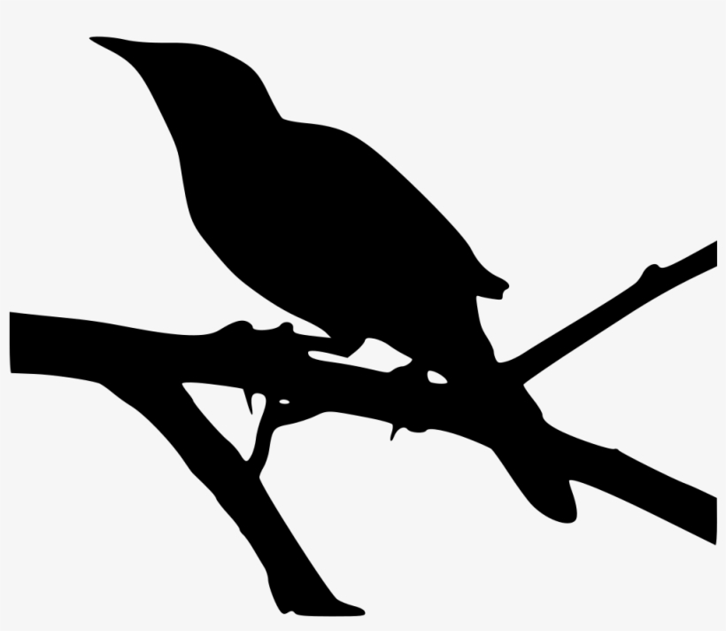 This Graphics Is The Outline Of The Robins About Texas,birds - Kill A Mockingbird Icon, transparent png