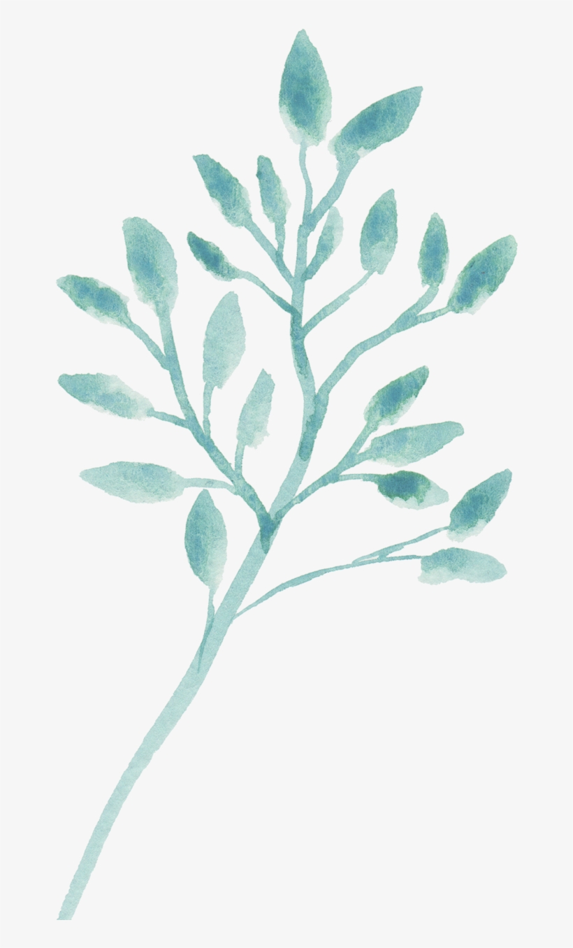 Ramas, transparent png