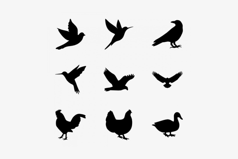Vector Graphics, transparent png