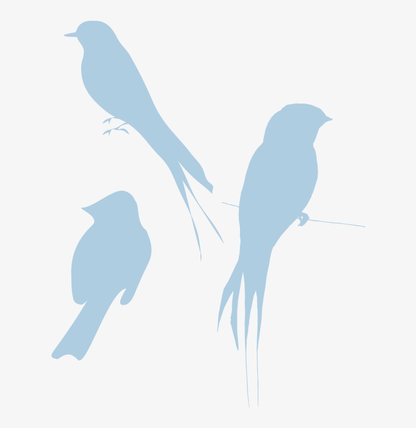 Blue Silhouette Birds Look So Bird Clipart Transparent - Bird Silhouette, transparent png