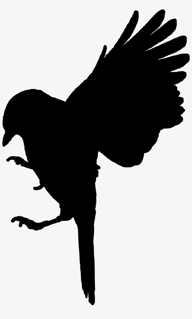 Free Image On Pixabay - Black Bird Cut Out, transparent png