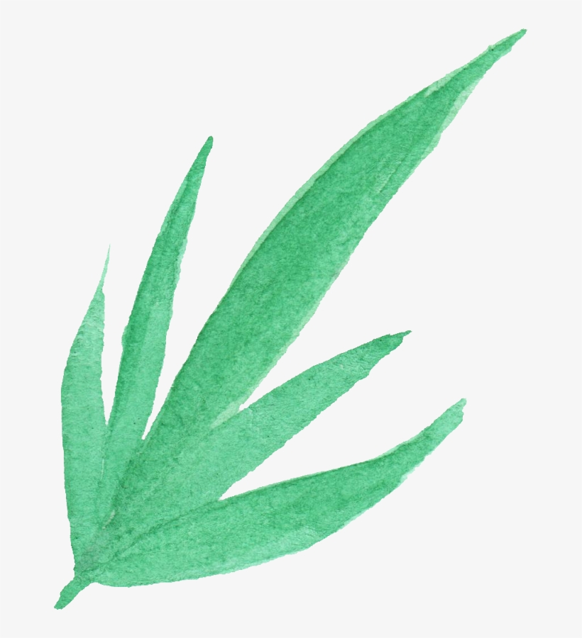 Free Download - Watercolor Painting, transparent png