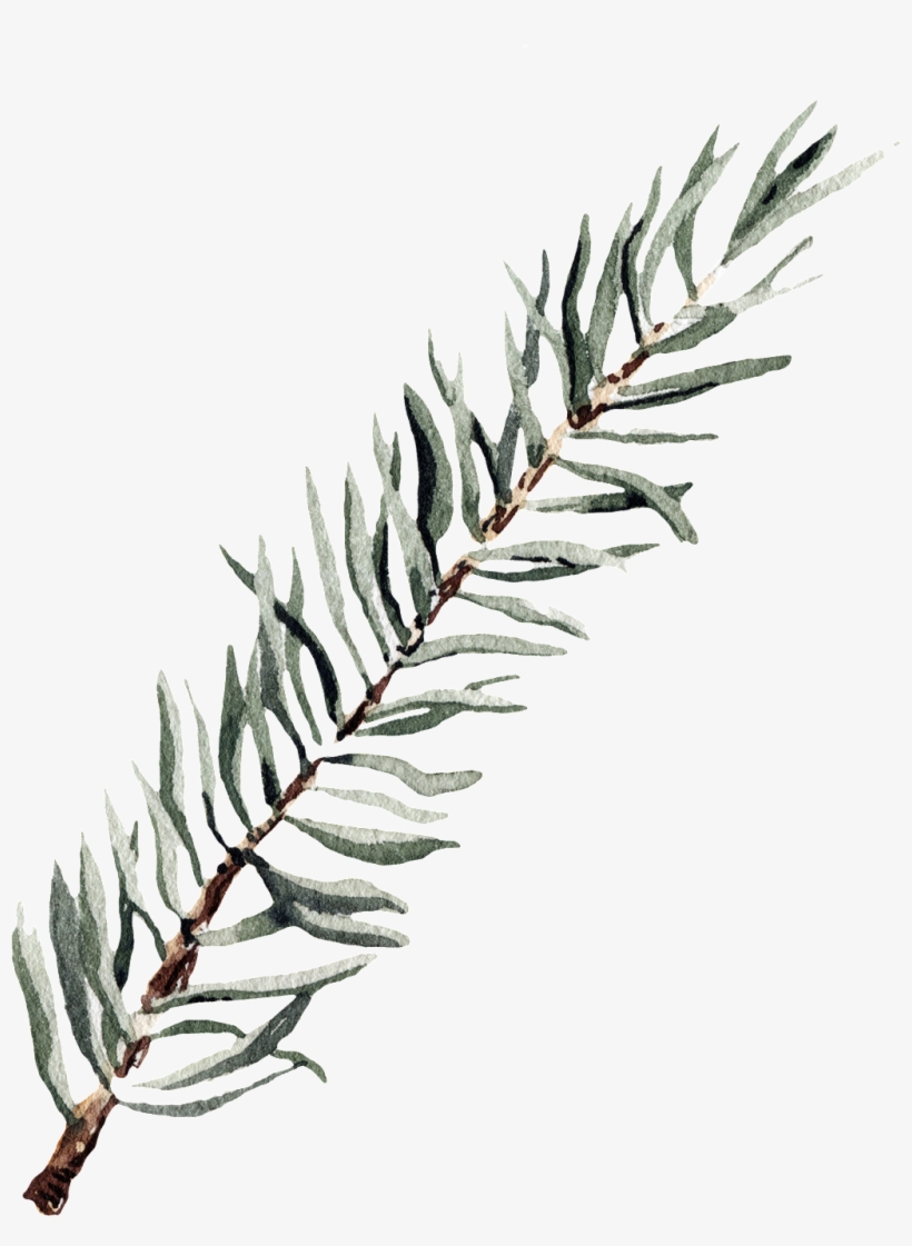 Este Gráficos Es Png Transparente De Ramas Y Hojas - Leaf, transparent png