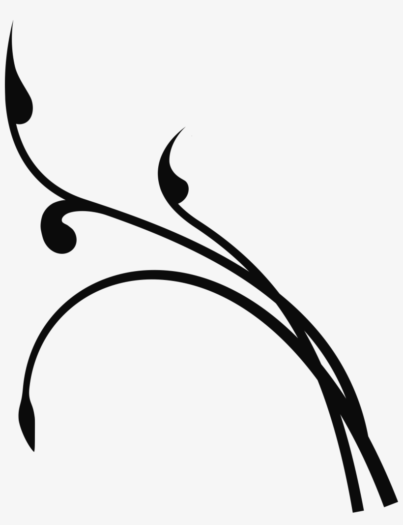 Branch Vector Png - Branch Clip Art, transparent png