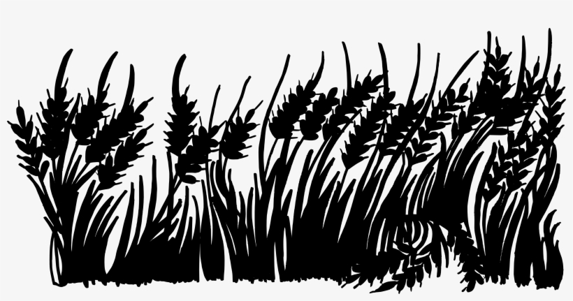 Free Download - Photography, transparent png