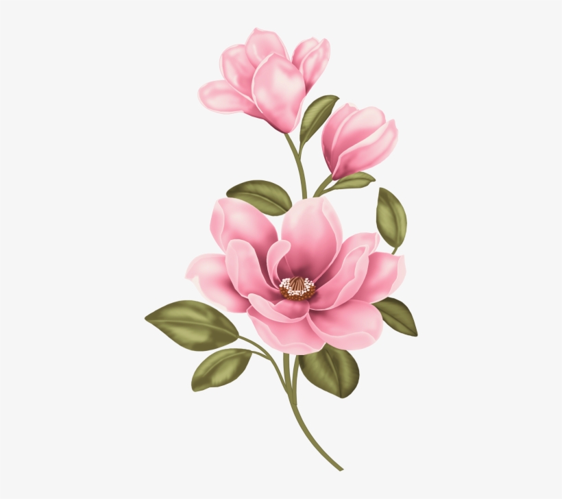 Pin By Bronislava Jarošová On K - Magnolia Clipart, transparent png