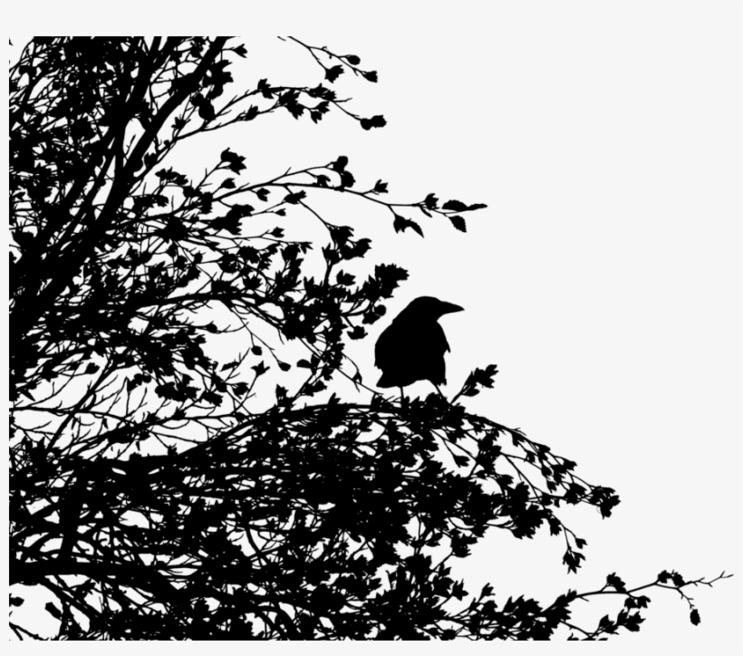 Bird Tree Common Raven Crow Family Silhouette - Disintegration Effect Black And White, transparent png