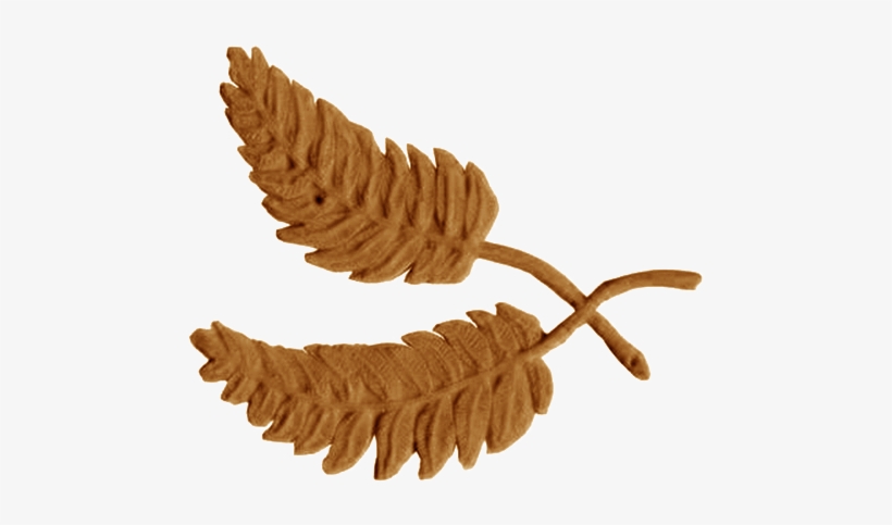 Ramas Cruzadas - Stamped Concrete, transparent png