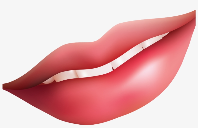 Lips Vector Closed Lip - Lips Clipart, transparent png