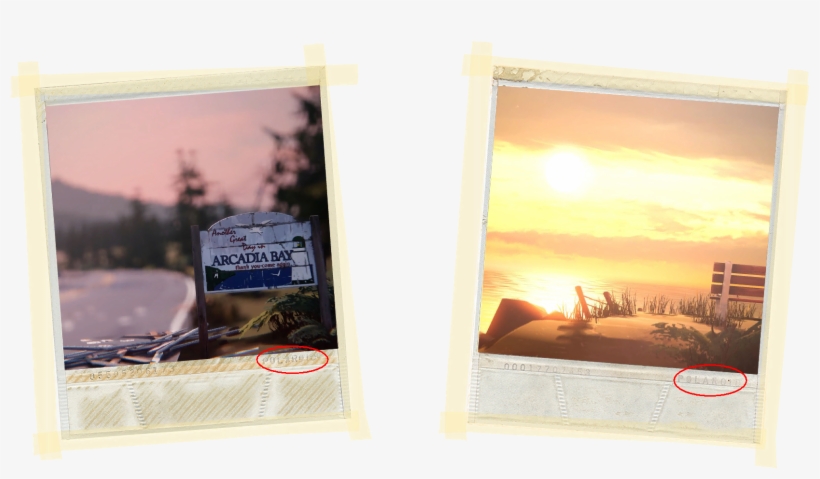 Polaroid - Life Is Strange Polaroid Png, transparent png