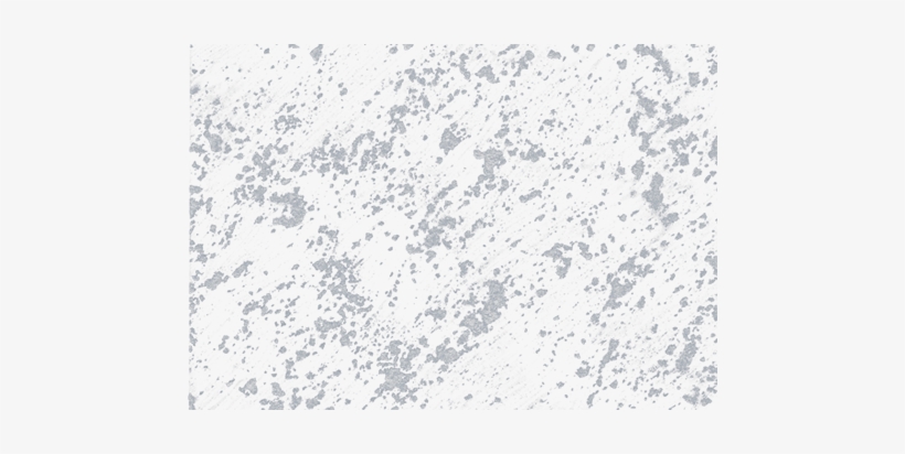 Enhance Your Wall With Momento Special Effect Paint - Bird Migration, transparent png