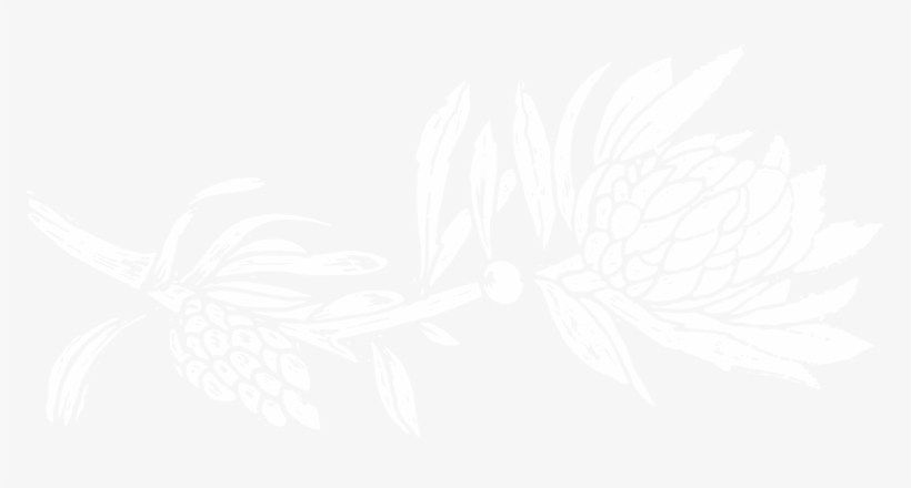 Foliage Png, transparent png