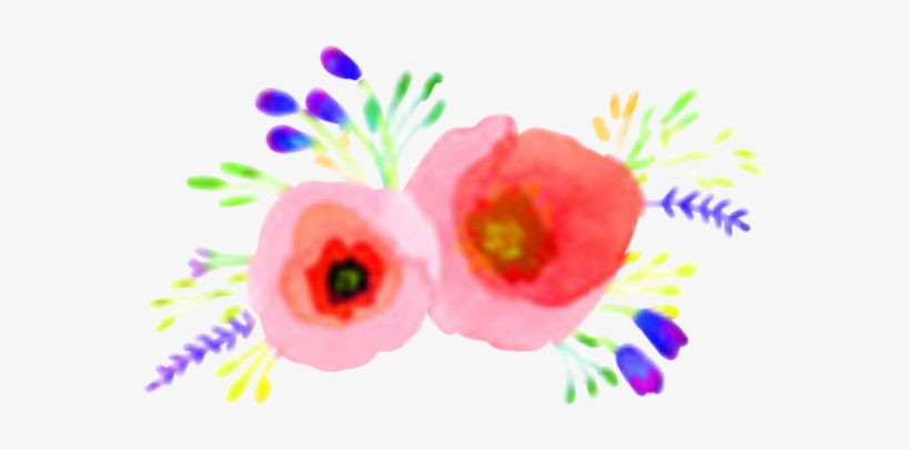 Anemone, transparent png