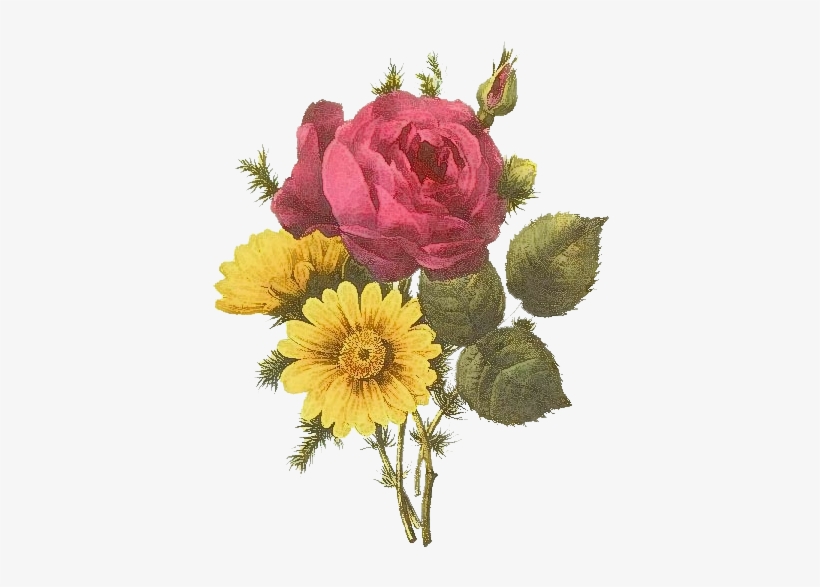 Pack 29 Here I Am Elegant Png Flowers Tumblr - Posterazzi Pink And Yellow I Poster Print, transparent png