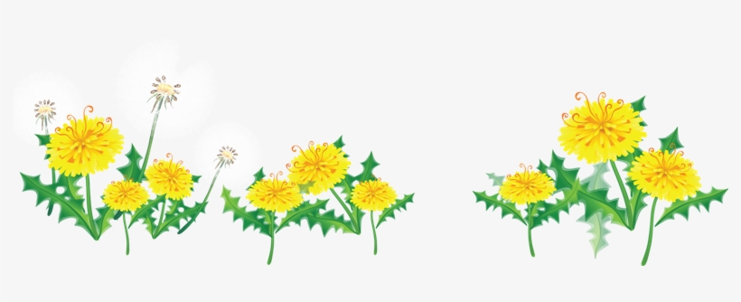 Res] Flower Border By Hanabell1 On Clipart Library - Yellow Flower Border Png, transparent png
