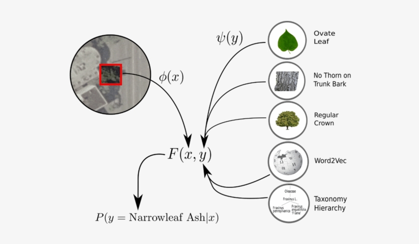 Our Proposed Framework Learns The Compatibility Function - Remote Sensing Recognition Area, transparent png