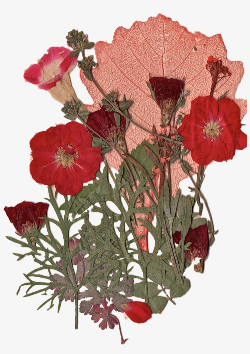 Report Abuse - Red Flowers Tumblr Png, transparent png