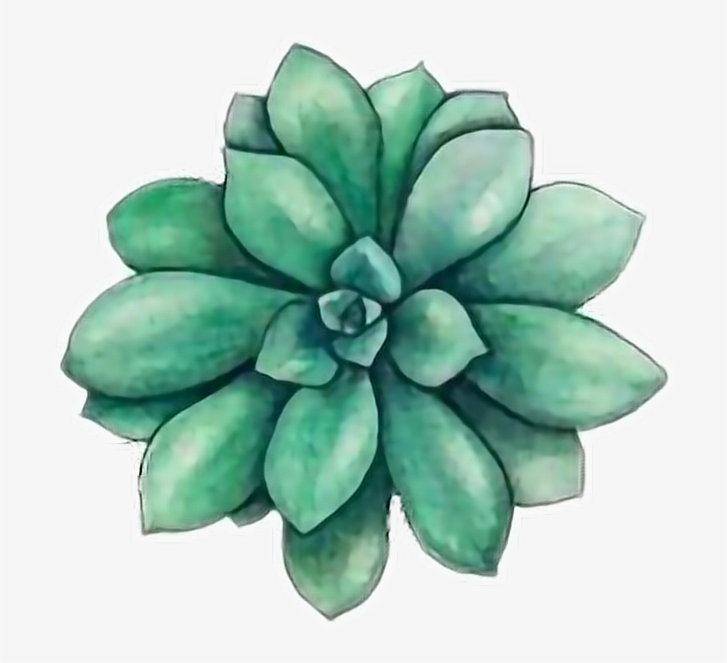 Tumblr Flower Garden Girly Cute Green Flowers Cactus - Succulent Stickers, transparent png