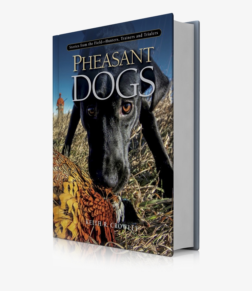 Pheasant Dogs - Dog, transparent png