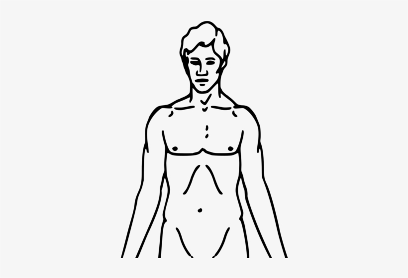 Pioneer Plaque Man Upper Body As Diagram Template - Chemical Basis Of Love, transparent png
