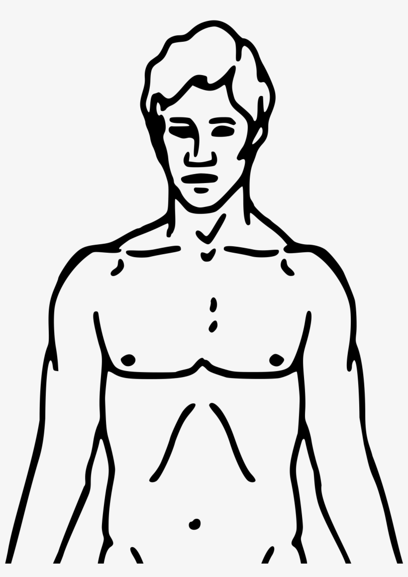 Graphic Freeuse Download Body Outline Clipart - Chemical Basis Of Love, transparent png