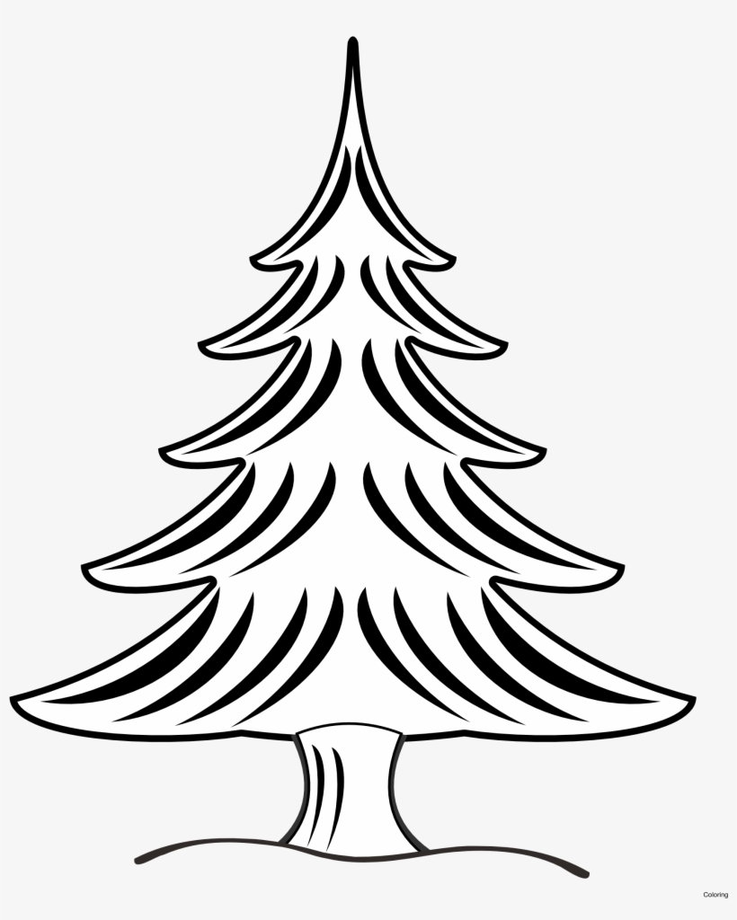 White Pine Drawing At Getdrawings - Black And White Pine Tree, transparent png