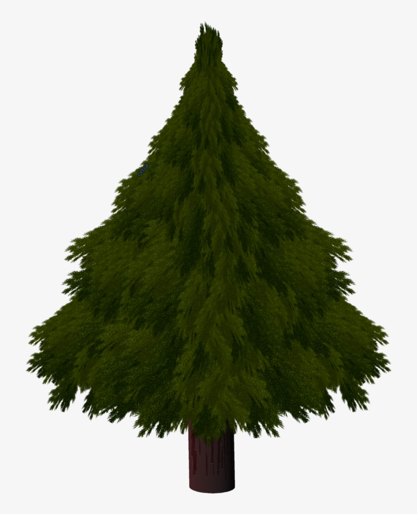 Drawn Pine Tree Xmas Tree - Christmas Tree, transparent png