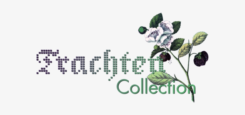 Trachtencollection Logo Transparent - Lookbook, transparent png