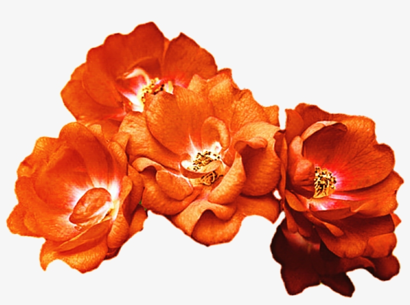 Orange Rose Crown By Jeanicebartzen27 On Deviantart - Orange Flower Crown Png, transparent png